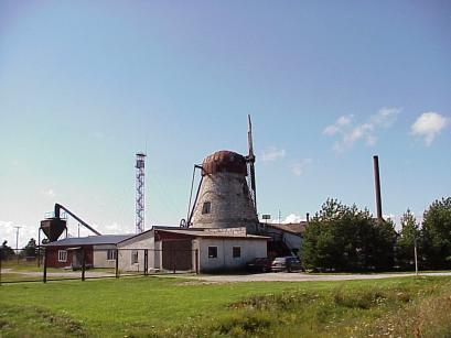 Fr Saaremaa typisch: Die Windmhle ...