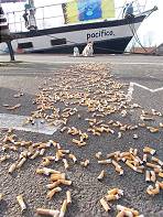Weggeworfene Zigarettenstummel klagen an ...