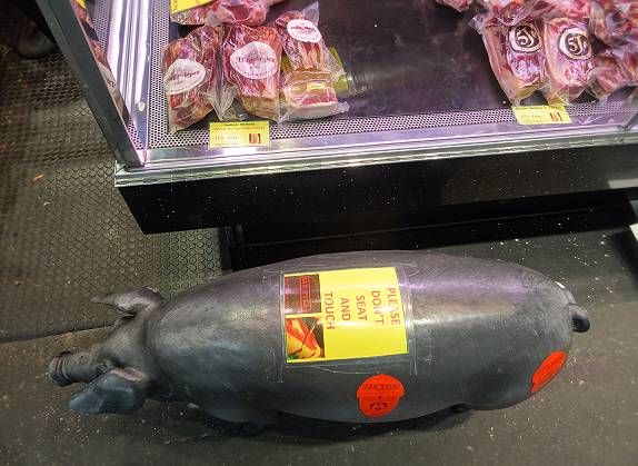 Das Iberico-Schwein: Berhren verboten!