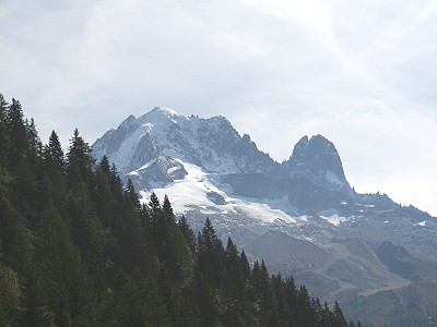 Der Knig der Alpen ...