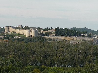 Fort Saint Andr
- La Tour Philippe Le Bel ...