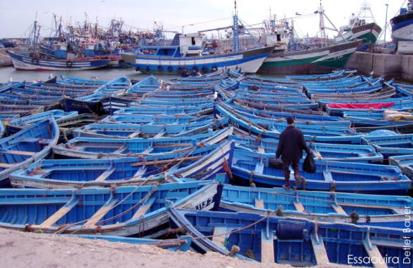 Essaouira, Fischereihafen ...
