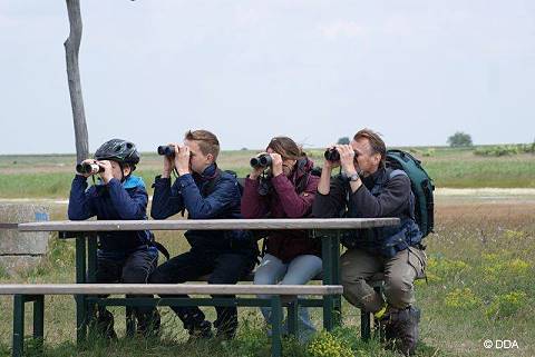 Junge Naturfreunde im Jagdfieber (Foto: DDA) 