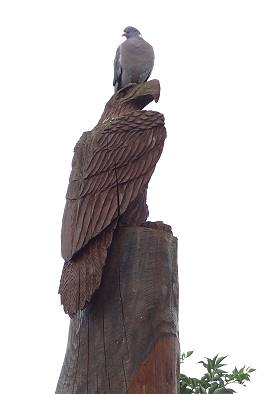 Das Wahrzeichen vom Campingplatz: Vom Kettensgenknstler geschnitzter Adler am Ende eines 5m hohen Baumstumpfes ...