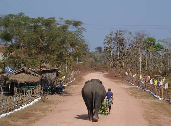 Laos: Ein ernst zu nehmendes Hindernis auf der Strae ...