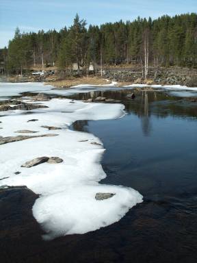 Frhlingserwachen in Lappland ...