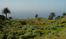 Landschaft oberhalb von Las Organos (1) ...
