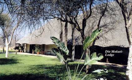 Mokuti Lodge: Idylle nach anstrengendem Flug ...