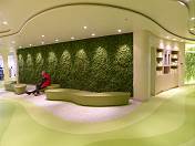 Gediegene Atmosphre im Fitnessbereich ...