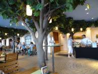 Im Brauhaus-Biergarten: Der Frhschoppen beginnt ...