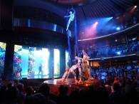 Fantastisches Showprogramm: Kauri ...