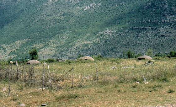 Wie Pilze aus dem Boden: Allgegenwrtige Bunker ...