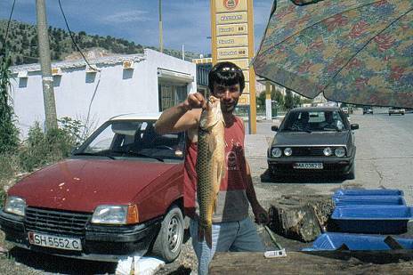 Abendessen: Fischverk�ufer am Stra�enrand ...