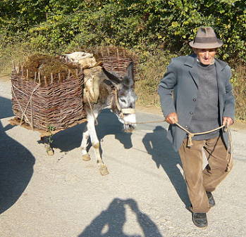 Überall freundliche und schnelle Hilfe ... Überall freundliche und schnelle Hilfe ...