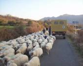 Begegnungen mit verschiedensten Einwohnern ...