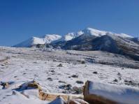 Der Berg rckt nher ...