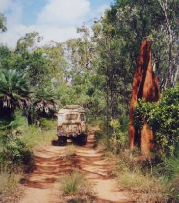 Es geht voran: Anthill ...