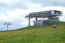 Was mag sie hier sammeln ..?