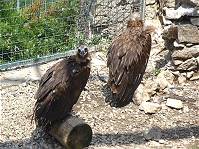 Wer besucht uns heute ..?