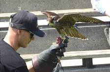 Wer wrde bei so leckeren Sachen nicht hier landen?