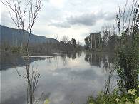 Natur-Idylle pur ...