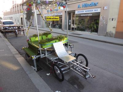 ... in allen Lebenslagen ...