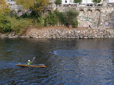... auf der Mur und neben der Mur ...