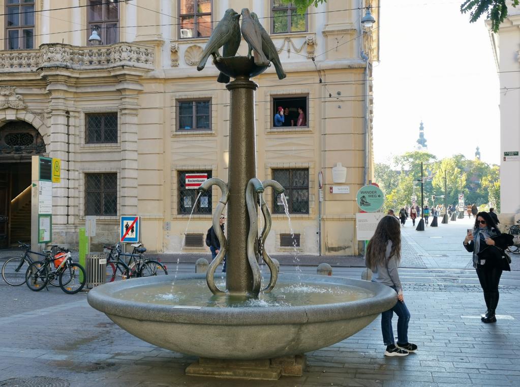Taubenbrunnen und bunter Zebrastreifen ...