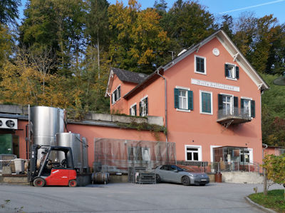 Villa Hollerbrand - und die zauberhaften Glser ...