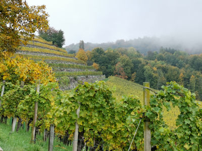 Es ist herbstelt allberall ...