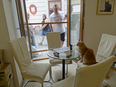 Wo bleibt meine Melange?