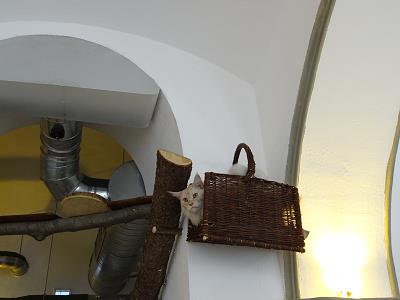 berblick ist alles ...