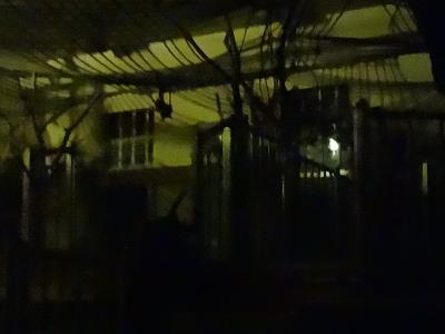 Suchbild: Wo hängt der Flughund? Suchbild: Wo hängt der Flughund?