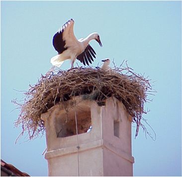 Hast du schon gesehen? Das Explorer Magazin ist da!