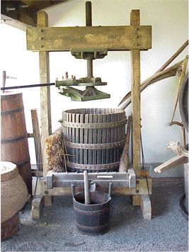 Alte Traubenpresse