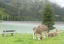 Tatoos sind auch hier in Mode ...