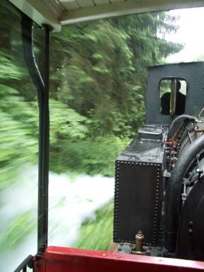 Fauchend durchs Unterholz ...