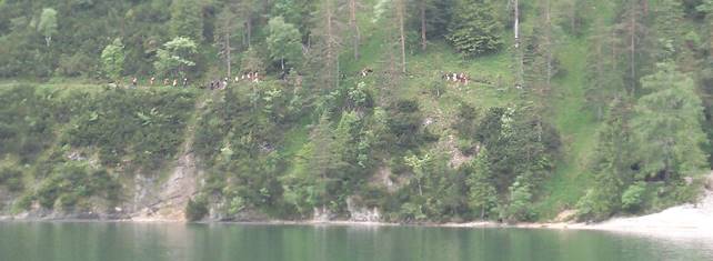 Ameisenstrae Richtung Achenseehof ...