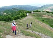 Zurck zu den Autos ...