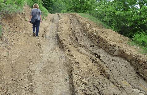 Anfangs scheint es nur schlecht ...