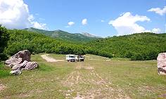 Rast auf Lichtung neben Marmorblcken ...