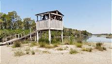 Wo sind die Pelikane?