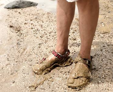 ... keine Opfer scheuend ...