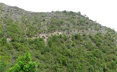 Zügig nach oben ... Zügig nach oben ...