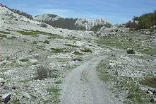 ber den Kamm geht es rber ...