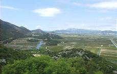 Neretvadelta, bekannt fr die Mandarinen, die dort wachsen