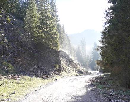 Dampfende Erde im Morgenlicht ...