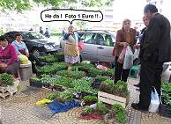 Shkodra (2): Touristenabzocke inclusive ...