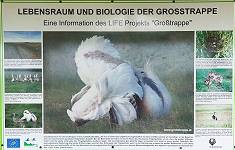 Grotrappen-Infotafel