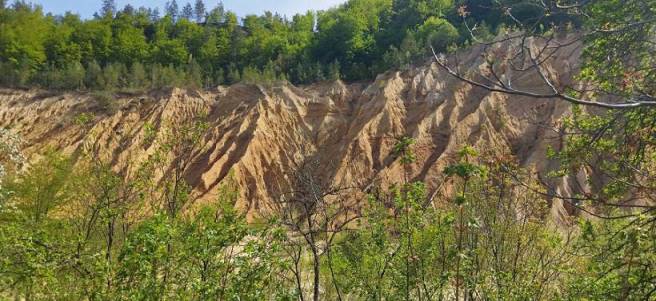 Hier abgesplter Lehm verschlammt die Wege ...